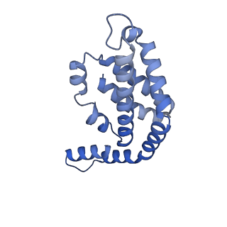 35566_8imj_A_v1-0
A'1-A'2, A'3-A'4, B1-B2, C1-C2 cylinder in cyanobacterial phycobilisome from Anthocerotibacter panamensis (Cluster B)