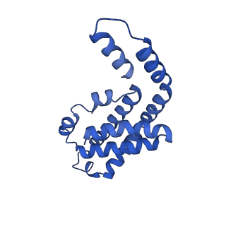 35566_8imj_B_v1-0
A'1-A'2, A'3-A'4, B1-B2, C1-C2 cylinder in cyanobacterial phycobilisome from Anthocerotibacter panamensis (Cluster B)