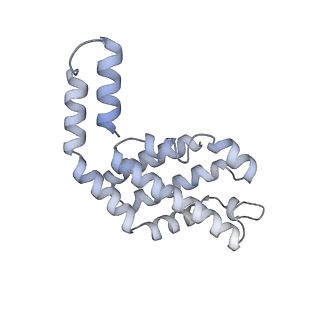 35566_8imj_C_v1-0
A'1-A'2, A'3-A'4, B1-B2, C1-C2 cylinder in cyanobacterial phycobilisome from Anthocerotibacter panamensis (Cluster B)