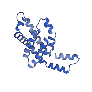 35566_8imj_D_v1-0
A'1-A'2, A'3-A'4, B1-B2, C1-C2 cylinder in cyanobacterial phycobilisome from Anthocerotibacter panamensis (Cluster B)