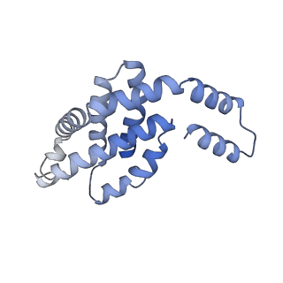 35566_8imj_E_v1-0
A'1-A'2, A'3-A'4, B1-B2, C1-C2 cylinder in cyanobacterial phycobilisome from Anthocerotibacter panamensis (Cluster B)