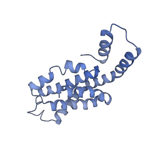 35566_8imj_H_v1-0
A'1-A'2, A'3-A'4, B1-B2, C1-C2 cylinder in cyanobacterial phycobilisome from Anthocerotibacter panamensis (Cluster B)