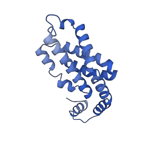 35566_8imj_J_v1-0
A'1-A'2, A'3-A'4, B1-B2, C1-C2 cylinder in cyanobacterial phycobilisome from Anthocerotibacter panamensis (Cluster B)