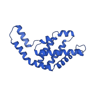 35566_8imj_K_v1-0
A'1-A'2, A'3-A'4, B1-B2, C1-C2 cylinder in cyanobacterial phycobilisome from Anthocerotibacter panamensis (Cluster B)