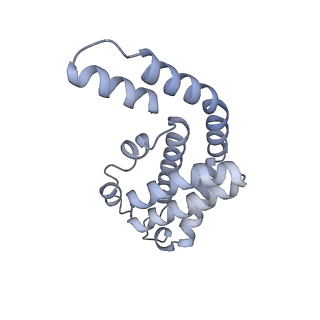 35566_8imj_N_v1-0
A'1-A'2, A'3-A'4, B1-B2, C1-C2 cylinder in cyanobacterial phycobilisome from Anthocerotibacter panamensis (Cluster B)