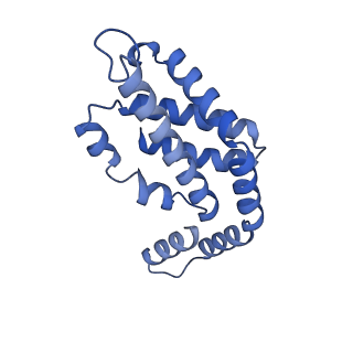 35566_8imj_O_v1-0
A'1-A'2, A'3-A'4, B1-B2, C1-C2 cylinder in cyanobacterial phycobilisome from Anthocerotibacter panamensis (Cluster B)