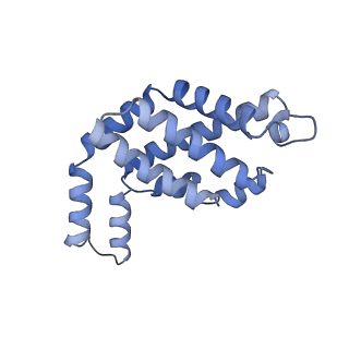 35566_8imj_P_v1-0
A'1-A'2, A'3-A'4, B1-B2, C1-C2 cylinder in cyanobacterial phycobilisome from Anthocerotibacter panamensis (Cluster B)