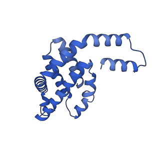35566_8imj_Q_v1-0
A'1-A'2, A'3-A'4, B1-B2, C1-C2 cylinder in cyanobacterial phycobilisome from Anthocerotibacter panamensis (Cluster B)