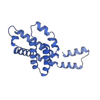 35566_8imj_R_v1-0
A'1-A'2, A'3-A'4, B1-B2, C1-C2 cylinder in cyanobacterial phycobilisome from Anthocerotibacter panamensis (Cluster B)