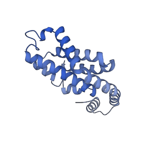 35566_8imj_U_v1-0
A'1-A'2, A'3-A'4, B1-B2, C1-C2 cylinder in cyanobacterial phycobilisome from Anthocerotibacter panamensis (Cluster B)