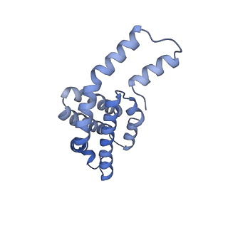 35566_8imj_V_v1-0
A'1-A'2, A'3-A'4, B1-B2, C1-C2 cylinder in cyanobacterial phycobilisome from Anthocerotibacter panamensis (Cluster B)