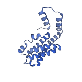 35566_8imj_W_v1-0
A'1-A'2, A'3-A'4, B1-B2, C1-C2 cylinder in cyanobacterial phycobilisome from Anthocerotibacter panamensis (Cluster B)