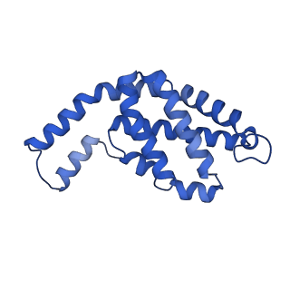 35566_8imj_X_v1-0
A'1-A'2, A'3-A'4, B1-B2, C1-C2 cylinder in cyanobacterial phycobilisome from Anthocerotibacter panamensis (Cluster B)