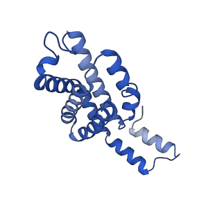 35566_8imj_Y_v1-0
A'1-A'2, A'3-A'4, B1-B2, C1-C2 cylinder in cyanobacterial phycobilisome from Anthocerotibacter panamensis (Cluster B)