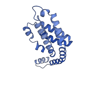 35566_8imj_a_v1-0
A'1-A'2, A'3-A'4, B1-B2, C1-C2 cylinder in cyanobacterial phycobilisome from Anthocerotibacter panamensis (Cluster B)