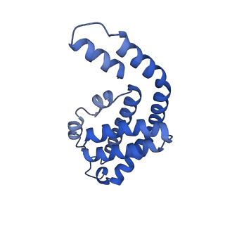 35566_8imj_b_v1-0
A'1-A'2, A'3-A'4, B1-B2, C1-C2 cylinder in cyanobacterial phycobilisome from Anthocerotibacter panamensis (Cluster B)