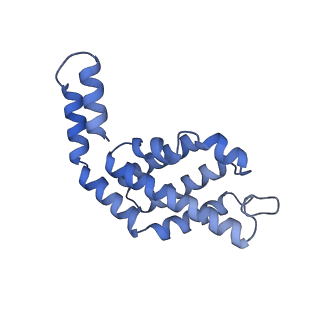 35566_8imj_c_v1-0
A'1-A'2, A'3-A'4, B1-B2, C1-C2 cylinder in cyanobacterial phycobilisome from Anthocerotibacter panamensis (Cluster B)
