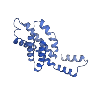 35566_8imj_d_v1-0
A'1-A'2, A'3-A'4, B1-B2, C1-C2 cylinder in cyanobacterial phycobilisome from Anthocerotibacter panamensis (Cluster B)