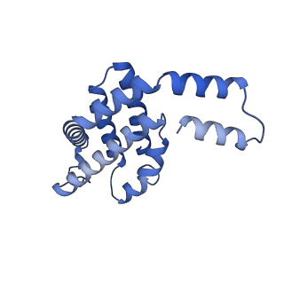 35566_8imj_e_v1-0
A'1-A'2, A'3-A'4, B1-B2, C1-C2 cylinder in cyanobacterial phycobilisome from Anthocerotibacter panamensis (Cluster B)