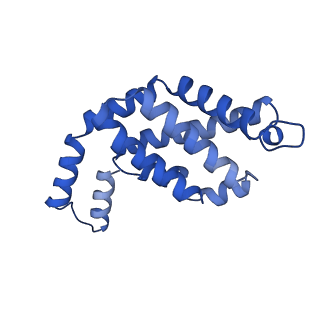 35566_8imj_f_v1-0
A'1-A'2, A'3-A'4, B1-B2, C1-C2 cylinder in cyanobacterial phycobilisome from Anthocerotibacter panamensis (Cluster B)