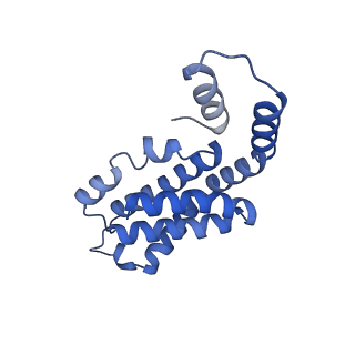 35566_8imj_h_v1-0
A'1-A'2, A'3-A'4, B1-B2, C1-C2 cylinder in cyanobacterial phycobilisome from Anthocerotibacter panamensis (Cluster B)
