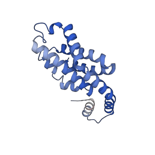 35566_8imj_j_v1-0
A'1-A'2, A'3-A'4, B1-B2, C1-C2 cylinder in cyanobacterial phycobilisome from Anthocerotibacter panamensis (Cluster B)