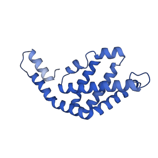 35566_8imj_k_v1-0
A'1-A'2, A'3-A'4, B1-B2, C1-C2 cylinder in cyanobacterial phycobilisome from Anthocerotibacter panamensis (Cluster B)