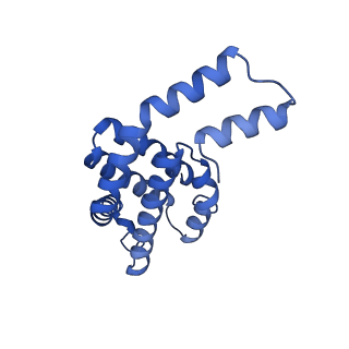 35566_8imj_l_v1-0
A'1-A'2, A'3-A'4, B1-B2, C1-C2 cylinder in cyanobacterial phycobilisome from Anthocerotibacter panamensis (Cluster B)