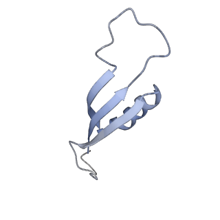 35566_8imj_m_v1-0
A'1-A'2, A'3-A'4, B1-B2, C1-C2 cylinder in cyanobacterial phycobilisome from Anthocerotibacter panamensis (Cluster B)