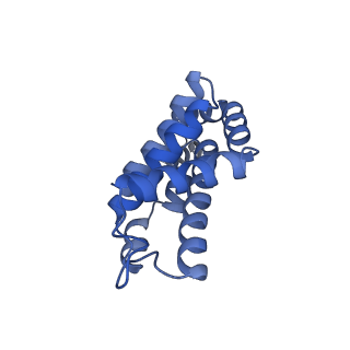 35566_8imj_n_v1-0
A'1-A'2, A'3-A'4, B1-B2, C1-C2 cylinder in cyanobacterial phycobilisome from Anthocerotibacter panamensis (Cluster B)