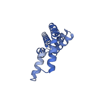 35566_8imj_o_v1-0
A'1-A'2, A'3-A'4, B1-B2, C1-C2 cylinder in cyanobacterial phycobilisome from Anthocerotibacter panamensis (Cluster B)