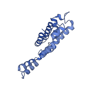 35566_8imj_p_v1-0
A'1-A'2, A'3-A'4, B1-B2, C1-C2 cylinder in cyanobacterial phycobilisome from Anthocerotibacter panamensis (Cluster B)