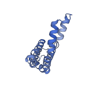35566_8imj_r_v1-0
A'1-A'2, A'3-A'4, B1-B2, C1-C2 cylinder in cyanobacterial phycobilisome from Anthocerotibacter panamensis (Cluster B)