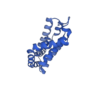 35566_8imj_s_v1-0
A'1-A'2, A'3-A'4, B1-B2, C1-C2 cylinder in cyanobacterial phycobilisome from Anthocerotibacter panamensis (Cluster B)