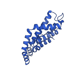 35566_8imj_t_v1-0
A'1-A'2, A'3-A'4, B1-B2, C1-C2 cylinder in cyanobacterial phycobilisome from Anthocerotibacter panamensis (Cluster B)