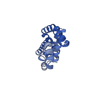 35566_8imj_u_v1-0
A'1-A'2, A'3-A'4, B1-B2, C1-C2 cylinder in cyanobacterial phycobilisome from Anthocerotibacter panamensis (Cluster B)