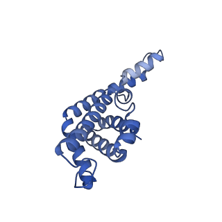 35566_8imj_v_v1-0
A'1-A'2, A'3-A'4, B1-B2, C1-C2 cylinder in cyanobacterial phycobilisome from Anthocerotibacter panamensis (Cluster B)