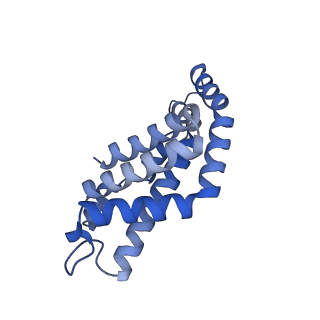 35566_8imj_w_v1-0
A'1-A'2, A'3-A'4, B1-B2, C1-C2 cylinder in cyanobacterial phycobilisome from Anthocerotibacter panamensis (Cluster B)
