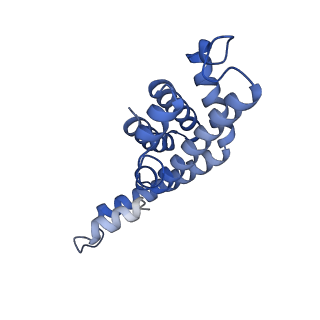 35566_8imj_x_v1-0
A'1-A'2, A'3-A'4, B1-B2, C1-C2 cylinder in cyanobacterial phycobilisome from Anthocerotibacter panamensis (Cluster B)