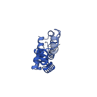 35566_8imj_y_v1-0
A'1-A'2, A'3-A'4, B1-B2, C1-C2 cylinder in cyanobacterial phycobilisome from Anthocerotibacter panamensis (Cluster B)