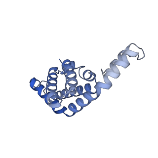 35568_8iml_E_v1-0
Rs2I-Rs2II, Rs1I-Rs1II, RbI-RbII cylinder in cyanobacterial phycobilisome from Anthocerotibacter panamensis (Cluster D)