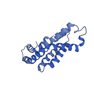 35568_8iml_F_v1-0
Rs2I-Rs2II, Rs1I-Rs1II, RbI-RbII cylinder in cyanobacterial phycobilisome from Anthocerotibacter panamensis (Cluster D)