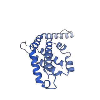 35568_8iml_I_v1-0
Rs2I-Rs2II, Rs1I-Rs1II, RbI-RbII cylinder in cyanobacterial phycobilisome from Anthocerotibacter panamensis (Cluster D)