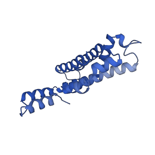 35568_8iml_K_v1-0
Rs2I-Rs2II, Rs1I-Rs1II, RbI-RbII cylinder in cyanobacterial phycobilisome from Anthocerotibacter panamensis (Cluster D)