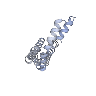 35568_8iml_N_v1-0
Rs2I-Rs2II, Rs1I-Rs1II, RbI-RbII cylinder in cyanobacterial phycobilisome from Anthocerotibacter panamensis (Cluster D)