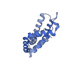 35568_8iml_O_v1-0
Rs2I-Rs2II, Rs1I-Rs1II, RbI-RbII cylinder in cyanobacterial phycobilisome from Anthocerotibacter panamensis (Cluster D)