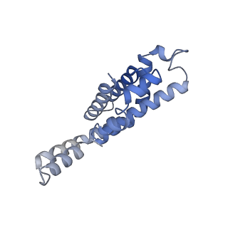 35568_8iml_R_v1-0
Rs2I-Rs2II, Rs1I-Rs1II, RbI-RbII cylinder in cyanobacterial phycobilisome from Anthocerotibacter panamensis (Cluster D)