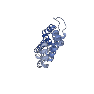 35568_8iml_V_v1-0
Rs2I-Rs2II, Rs1I-Rs1II, RbI-RbII cylinder in cyanobacterial phycobilisome from Anthocerotibacter panamensis (Cluster D)