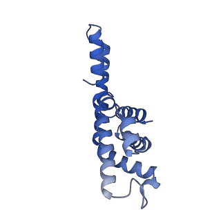 35568_8iml_b_v1-0
Rs2I-Rs2II, Rs1I-Rs1II, RbI-RbII cylinder in cyanobacterial phycobilisome from Anthocerotibacter panamensis (Cluster D)