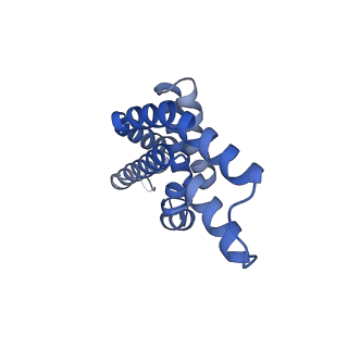 35568_8iml_f_v1-0
Rs2I-Rs2II, Rs1I-Rs1II, RbI-RbII cylinder in cyanobacterial phycobilisome from Anthocerotibacter panamensis (Cluster D)